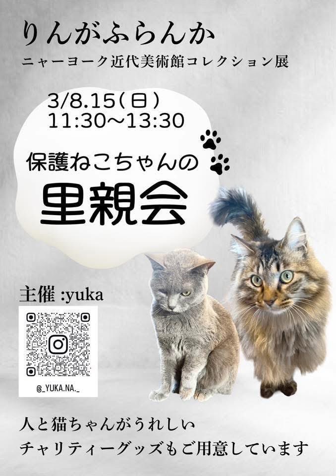 Bouillon12's tweet photo. 今夜放映されるドラマ『旅と猫と僕』TV東京のロケ地は伊東。

伊豆高原ではネコをテーマとしたアート展『ニャーヨーク近代美術館コレクション展』を開催中。入場無料

#旅と猫と僕
#テレ東
#猫神守
#中川大輔
#足立梨花
#伊東市
#りんがふらんか城ヶ崎文化資料館
#猫展
#猫好き
#ニャーヨーク https://t.co/YhfT8Ld8EM