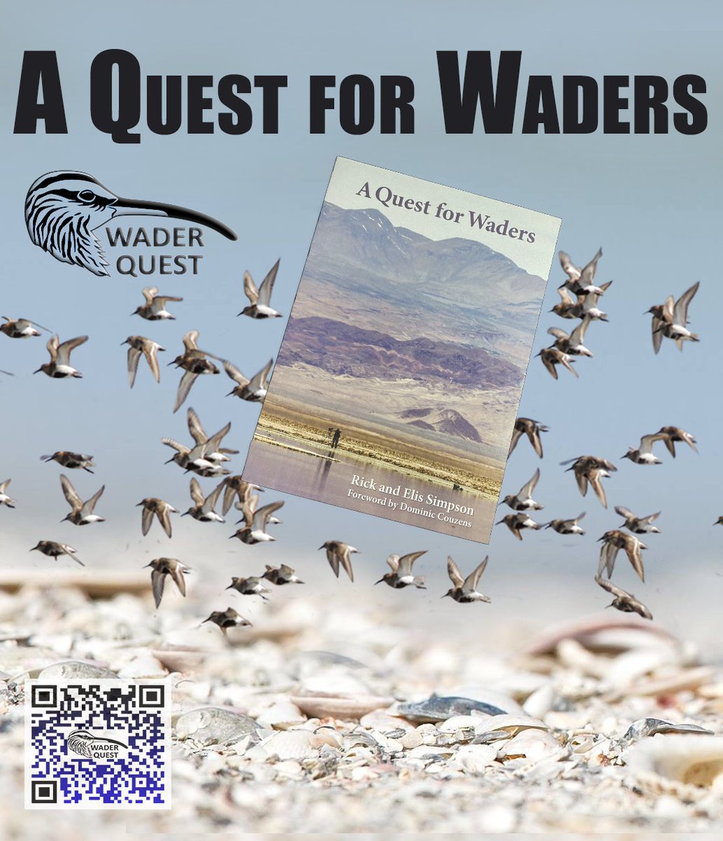 Wader Quest tweet media