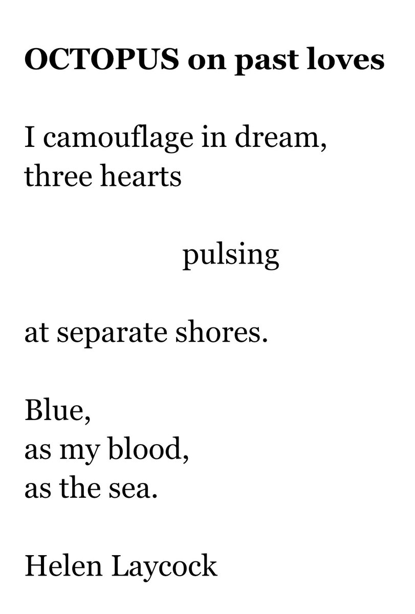 Always lovely for poets to dip their toes into #fragmentsfriday at the end of the week and create #poetry in 18 words or fewer.

Here's my offering, with thanks to <a href="/MatthewMCSmith/">Matthew M C Smith</a> <a href="/blackboughpoems/">Black Bough Poetry / Barddoniaeth Y Gangen Ddu</a>

🐙

#poetrycommunity #micropoetry #poetrylovers #octopus