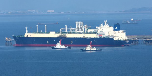 Shanaka Anslem Perera ⚡ tweet media