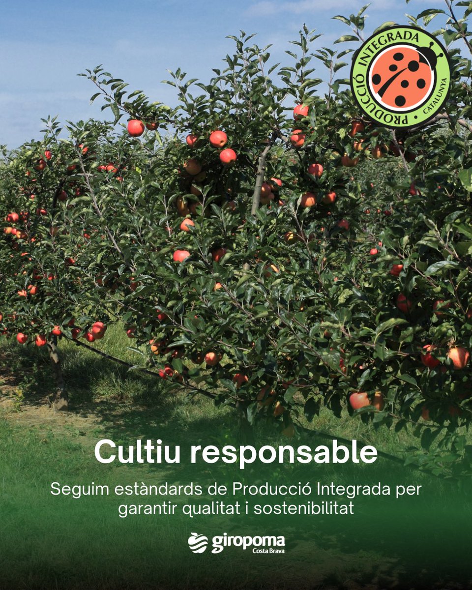 Giropoma Costa Brava tweet media