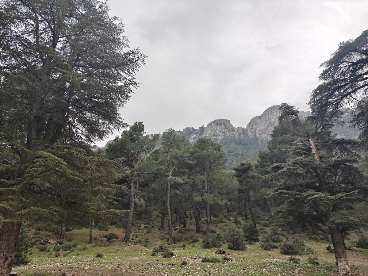 Abdo | Video Editor tweet media