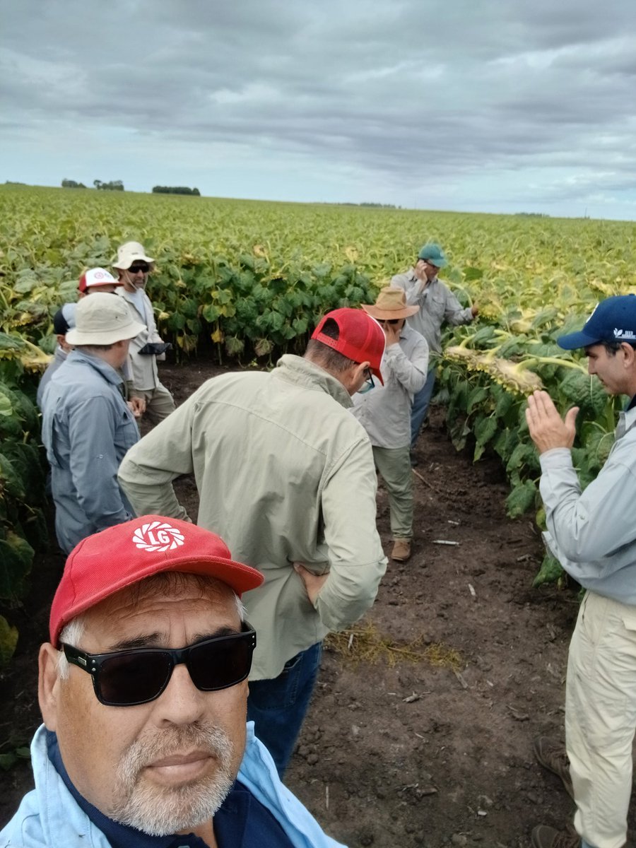 Hector Chaves tweet media