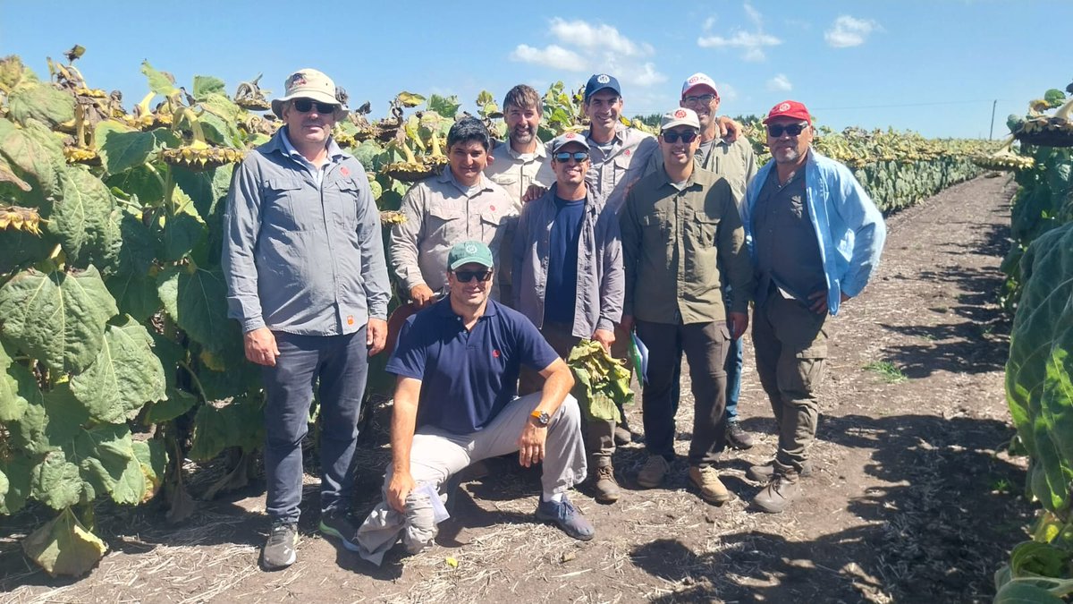 Hector Chaves tweet media