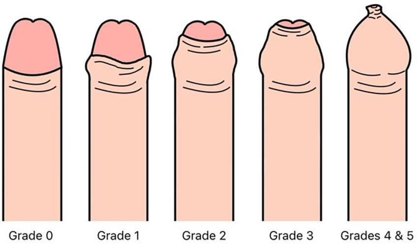 Ace_of_masculinity💋 tweet media