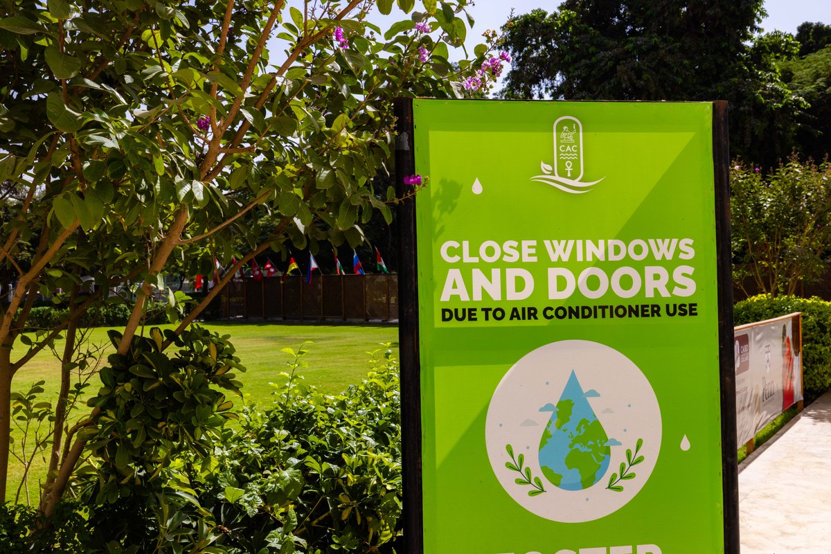 Cairo American College tweet media