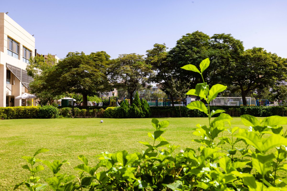 Cairo American College tweet media