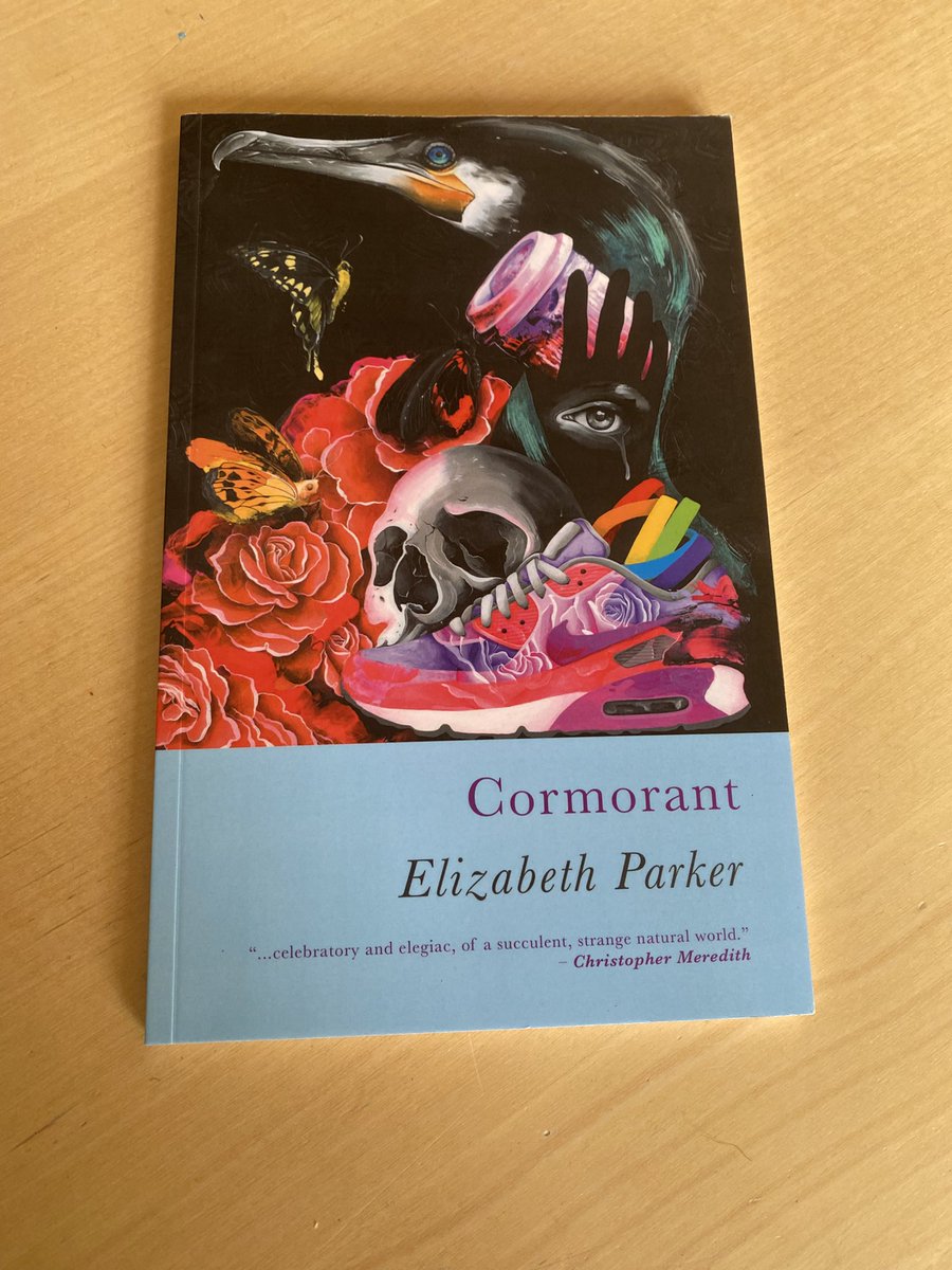 Delightedheron's tweet photo. Happy World Book Day! @worldbookdaysocial Two years ago, Seren Books @serenbooks published my second collection ‘Cormorant’. To mark the second anniversary, I wrote a blog for their page in which I discuss the ways in which traditional forms helped me in writing many of the poems https://t.co/gDMazBVi5e