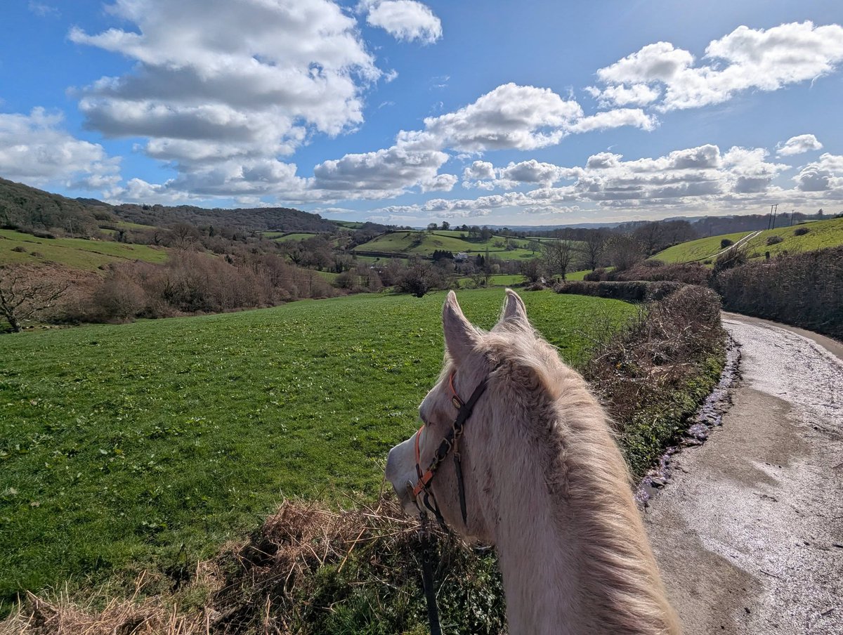 Unless I miss my mark , the grass is definitely growing !