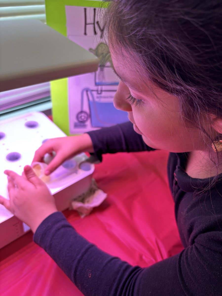 DR. KENYA GREER tweet media