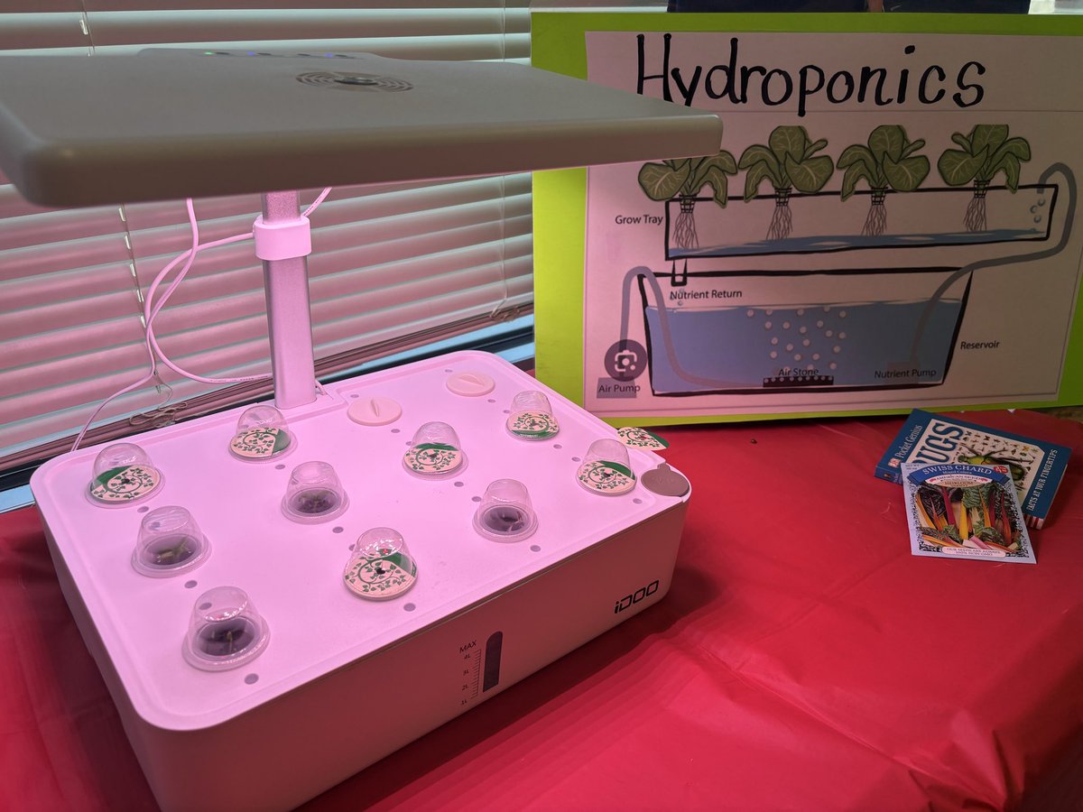 DR. KENYA GREER tweet media