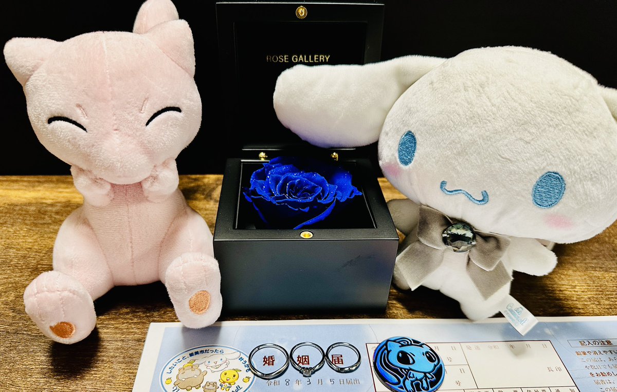 🐈‍⬛黒猫🐾 tweet media