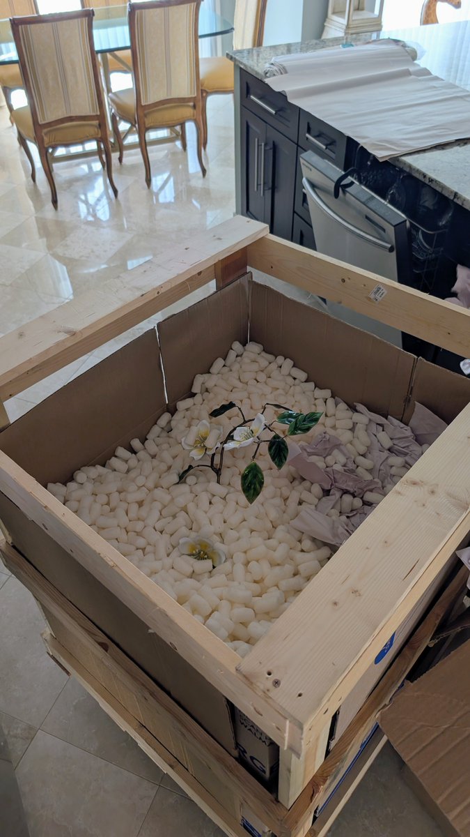 GMP_Florida's tweet photo. Custom crate built on the spot for this gorgeous metal flower sculpture! π οΈπ¨ Full wooden protection + perfect padding = zero risk.
Fragile art? Weβve got the skills.
We Pack It, Stack It, But NEVER Crack It! πͺ
DM for your custom crating needs!
#CustomCrating #ArtMoving #SWFL #GreatMovingAndPacking