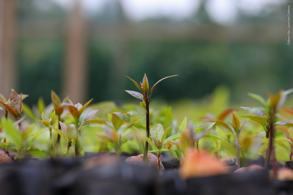 Save the Children Kenya & Madagascar tweet media