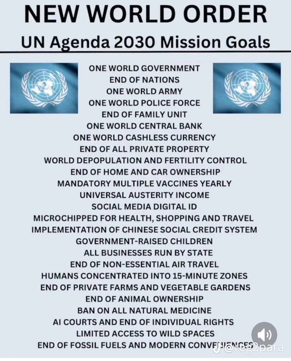 BasedBlondiee tweet media