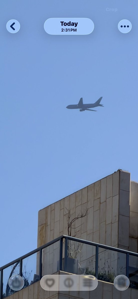 Samuel Guzik tweet media