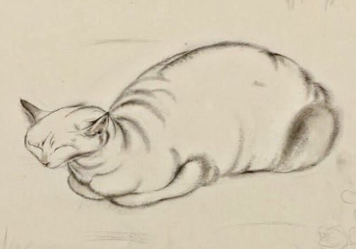 今宵のニャンコ
小倉遊亀さん
　素描猫画
美人画　日常画　静物画　どれもじっくり長く見れる絵画ニャン
作品は果物なんか腐るまで見続けて描かれていたと聞いている
これはササッと描いた習作だと思うけど愛嬌あって好きニャン