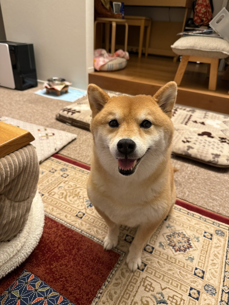 え？なに？夜中なんですけど💦