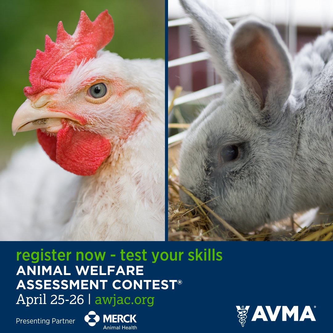 AVMA Meetings & Events tweet media