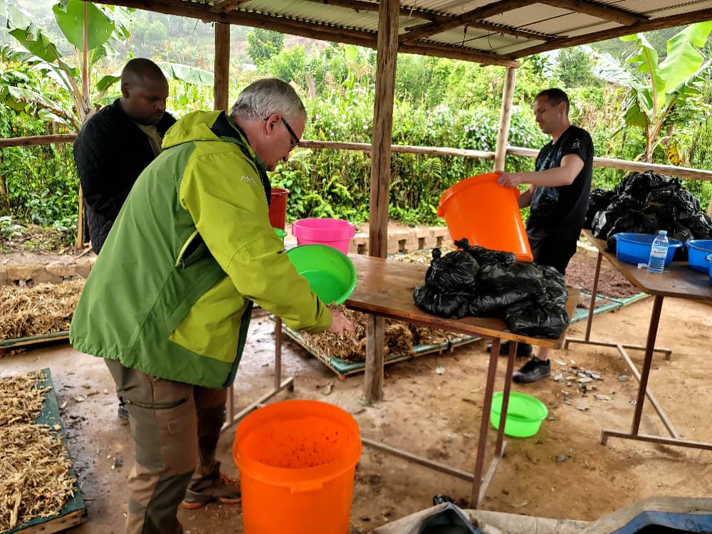 MTRCuganda's tweet photo. In Feb 2026, MTRC hosted a team from Technical University of Zvolen, Slovakia under the Erasmus+ project. Led by Prof. Martin Pavlik, they checked experiments on spent substrate, wild mushroom domestication, and trained us on mushroom soup recipes.Two weeks of knowledge exchange. https://t.co/FGfmr9rV3b