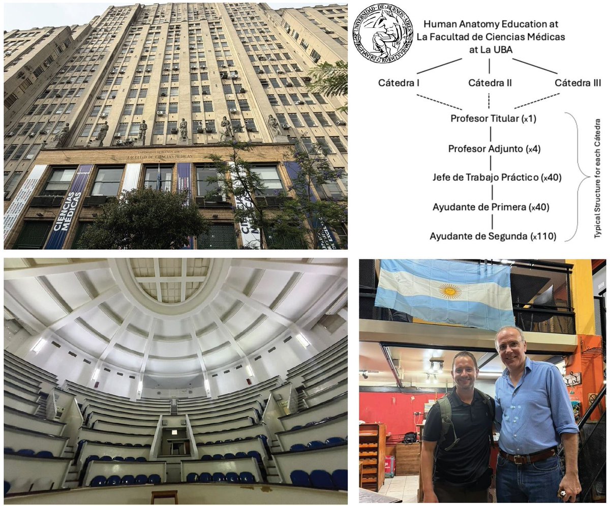 American Association for Anatomy tweet media