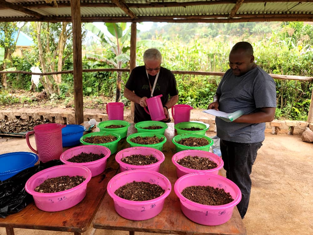 MTRCuganda's tweet photo. In Feb 2026, MTRC hosted a team from Technical University of Zvolen, Slovakia under the Erasmus+ project. Led by Prof. Martin Pavlik, they checked experiments on spent substrate, wild mushroom domestication, and trained us on mushroom soup recipes.Two weeks of knowledge exchange. https://t.co/FGfmr9rV3b