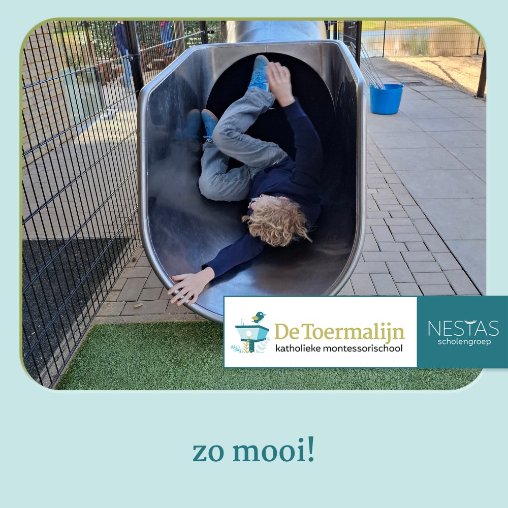 KBS de Toermalijn tweet media