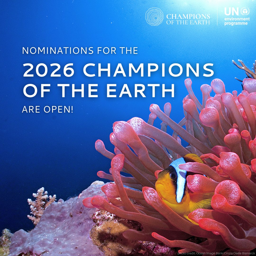 UN Environment Programme tweet media