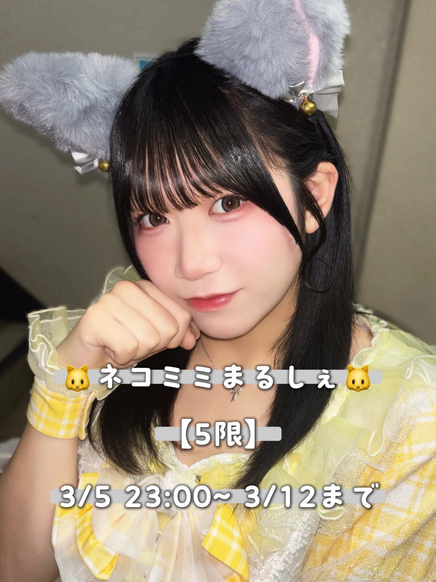 本日23:00~ ネコミミまるしぇを販売します！🐱 今回はグレーの猫ちゃん