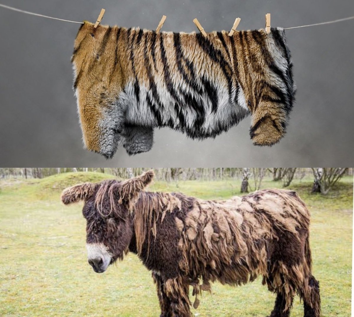 Tarun Gautam tweet media