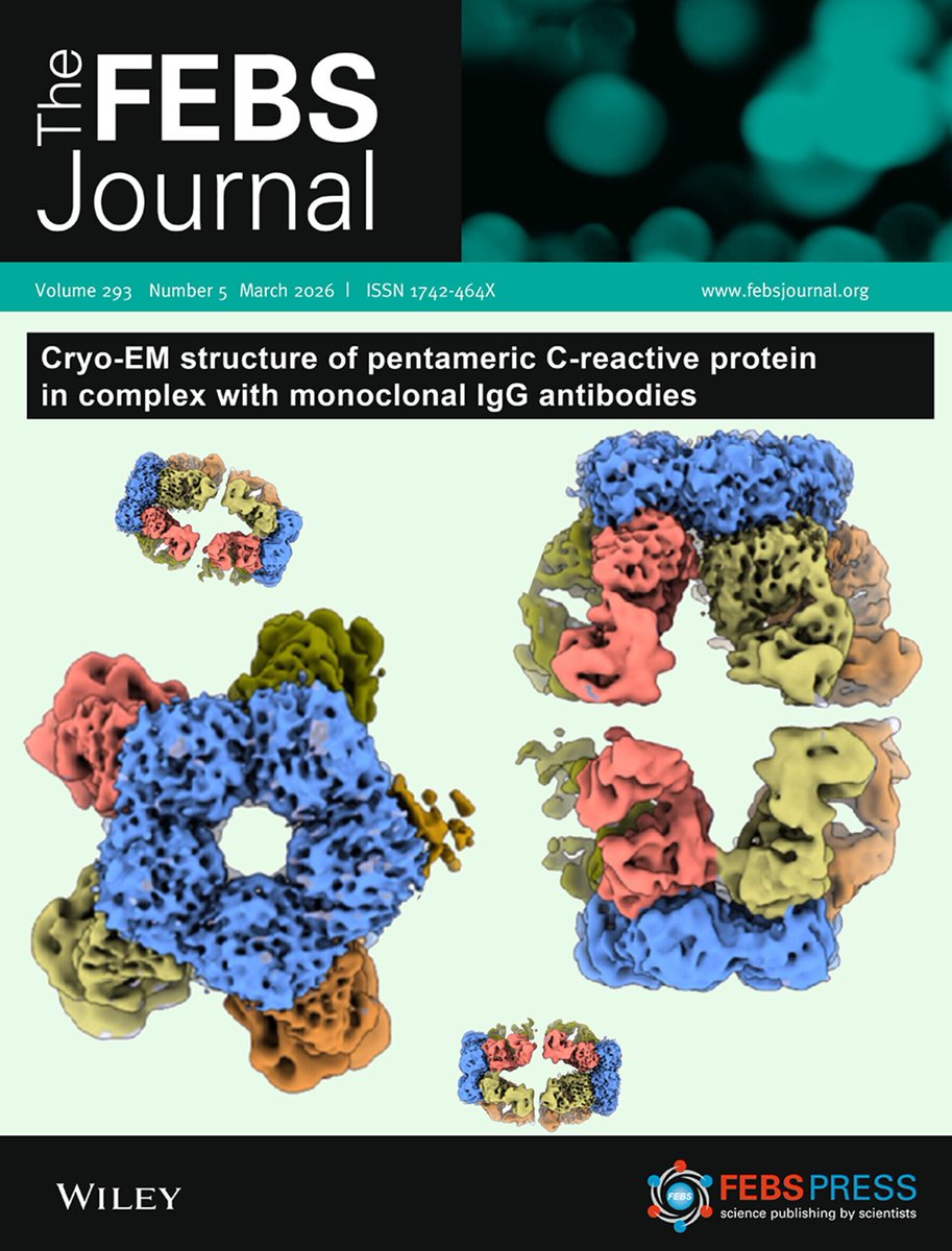 The FEBS Journal tweet media