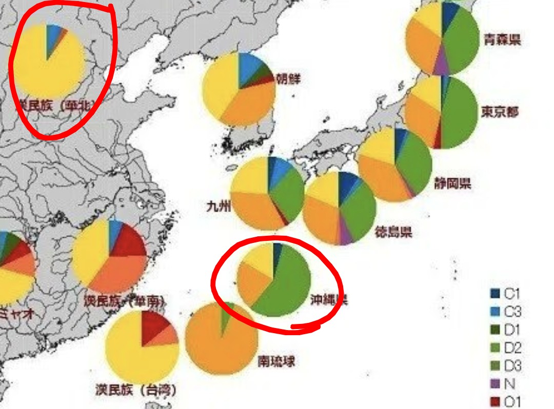 6LEjH8DcDxuhN1s's tweet photo. 琉球国王の末裔で、第２尚氏第23代当主の尚衛氏（写真1枚目）が、琉球が日本への統合を選択し、その選択をした第19代尚泰王の判断は「正しかった」と明言。この現当主の魂の明言は中国にとって「許し難い」事だ。恐らく、尚衛氏の所には中国からの圧力懐柔などがあろう。しかし、それを跳ね返し、日本の為に明言をして下さっている。これは大きい。

そもそも遺伝子的にも沖縄の人々と本土日本人のDNA（Y染色体）は相同。日本固有ともいわれるハプログループDが大部分。見て分かる通り、中国などとはまるで違う。

沖縄は確実に狙われている。国内外の固めが不可欠だ。薄汚く、爛れた、腐臭のする中国如きの領土欲に負けるわけには行かない。
 https://t.co/GaU5g1KsmV