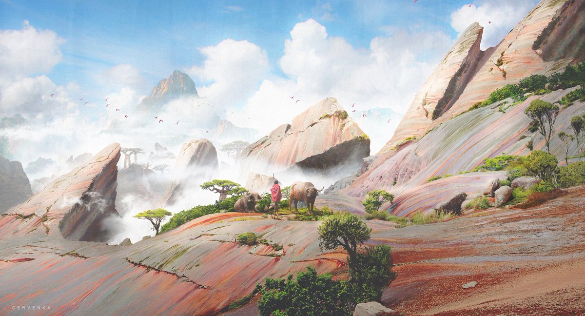 Jakub Cervenka tweet media