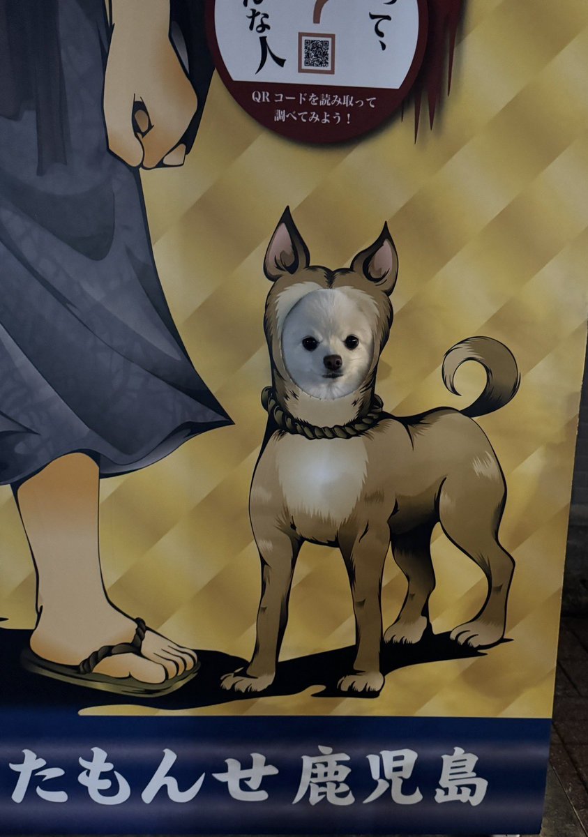 タケノコノコ (@690ZX69) / Posts / X