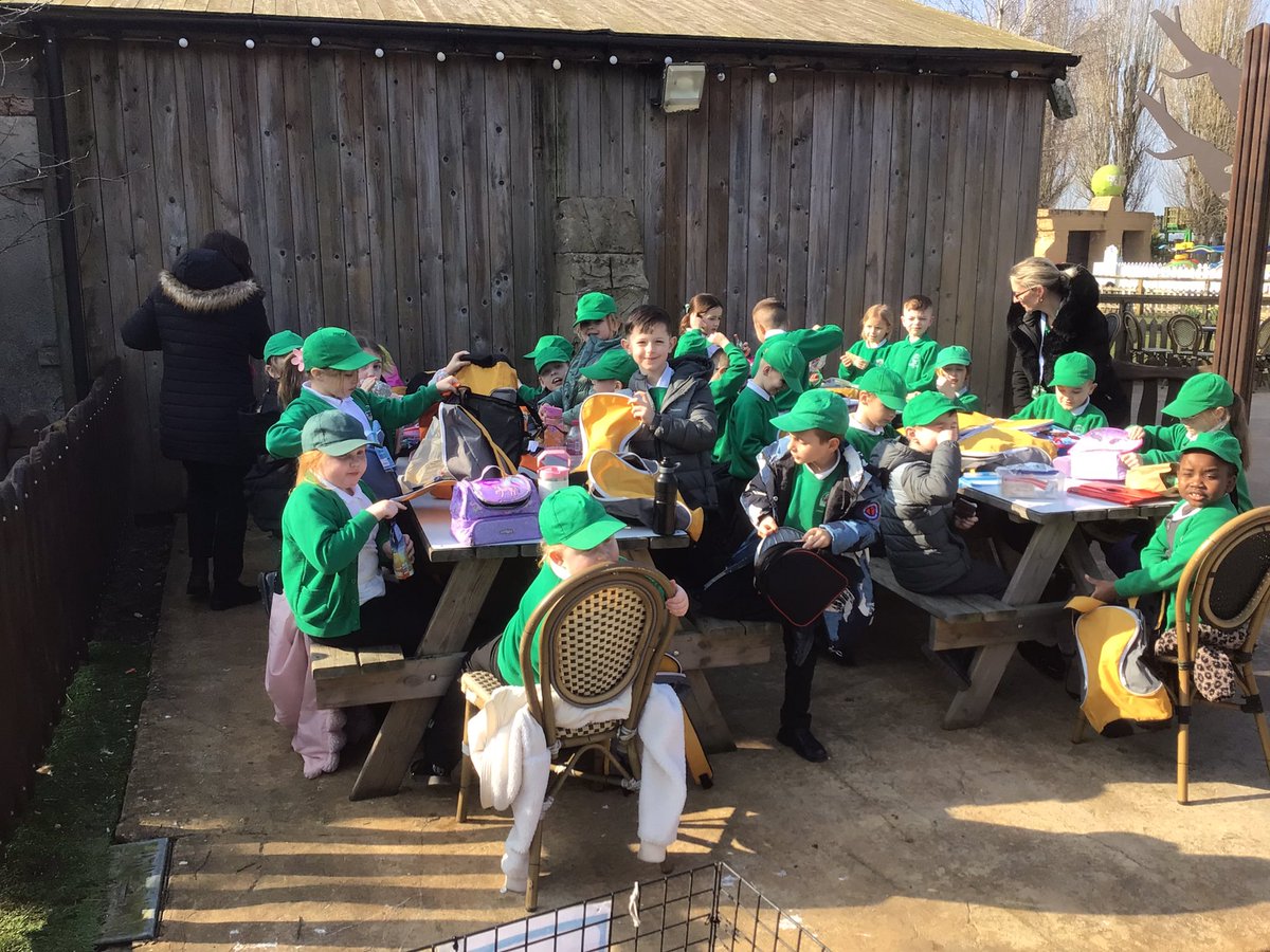 @CaldiY2 tweet media