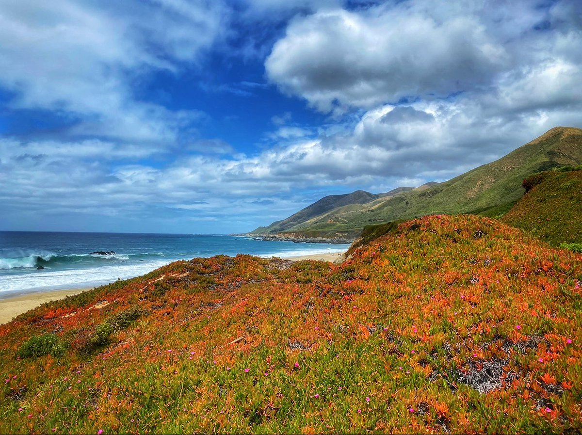 DENISE B tweet media