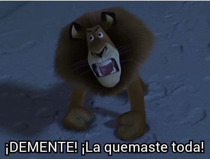 soyManiManito tweet media