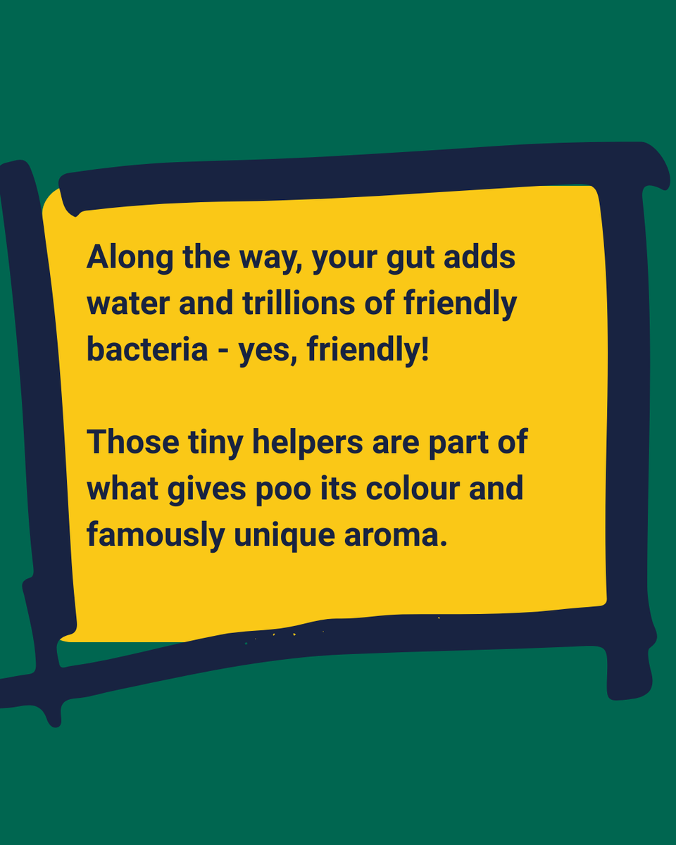 STEM Response Team - University of Wolverhampton tweet media