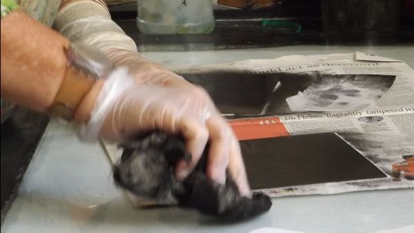 West Yorkshire Print Workshop tweet media