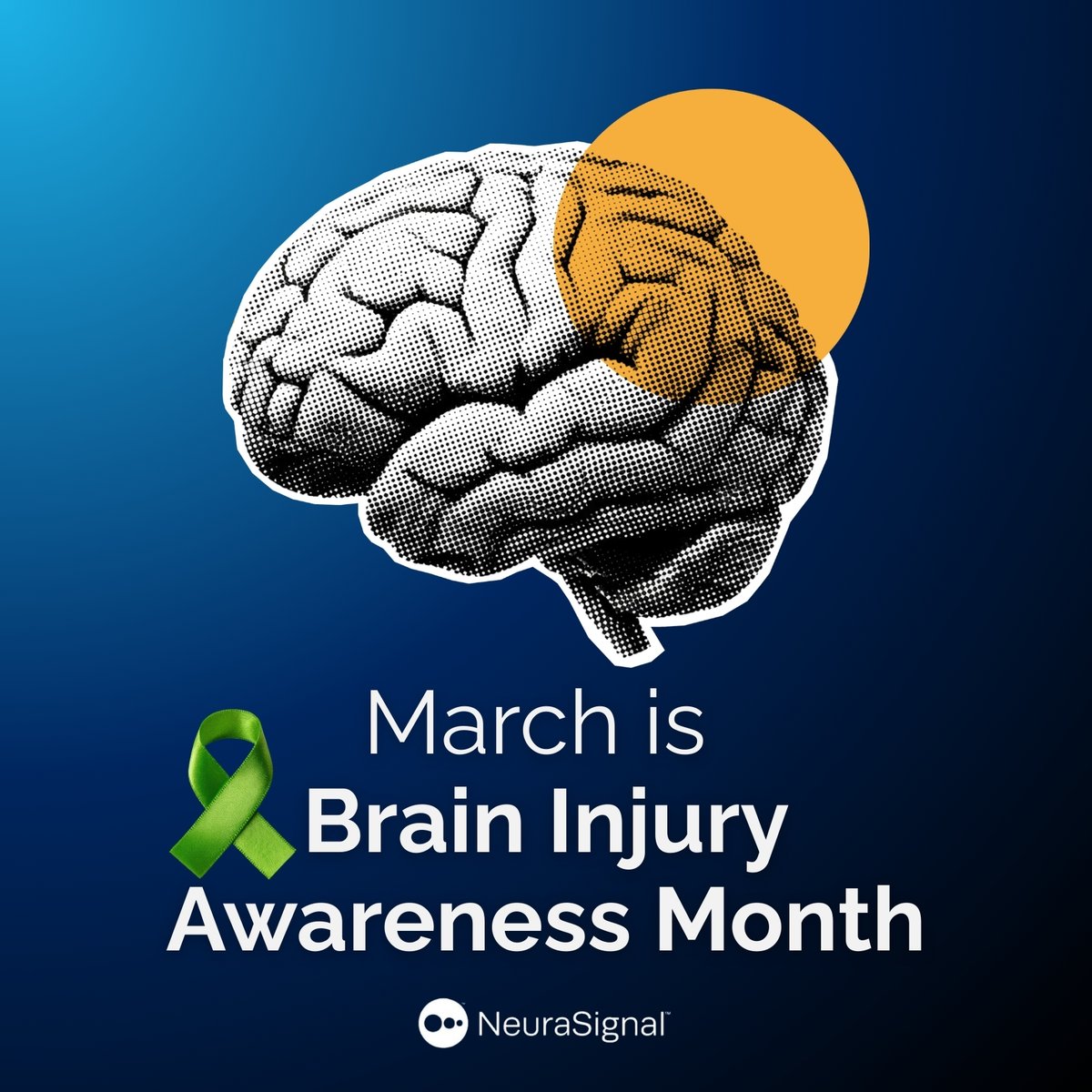 NeuraSignal tweet media