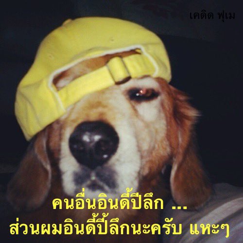 fuemejor tweet media