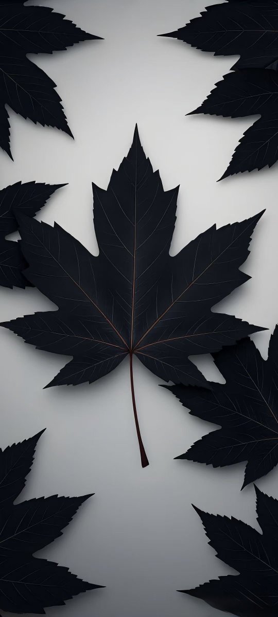 Wallpaper Hub tweet media