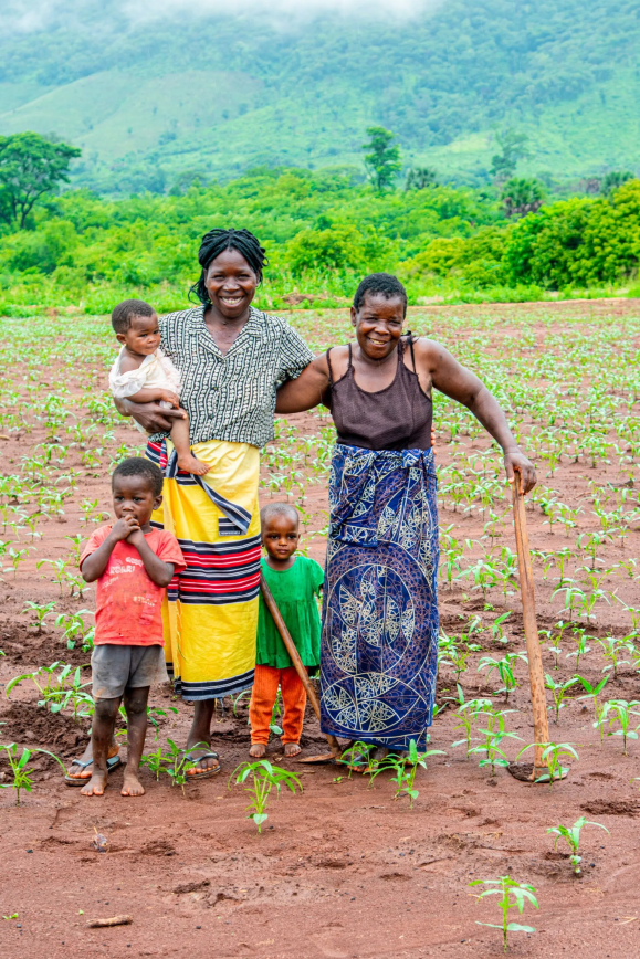 TechnoServe tweet media