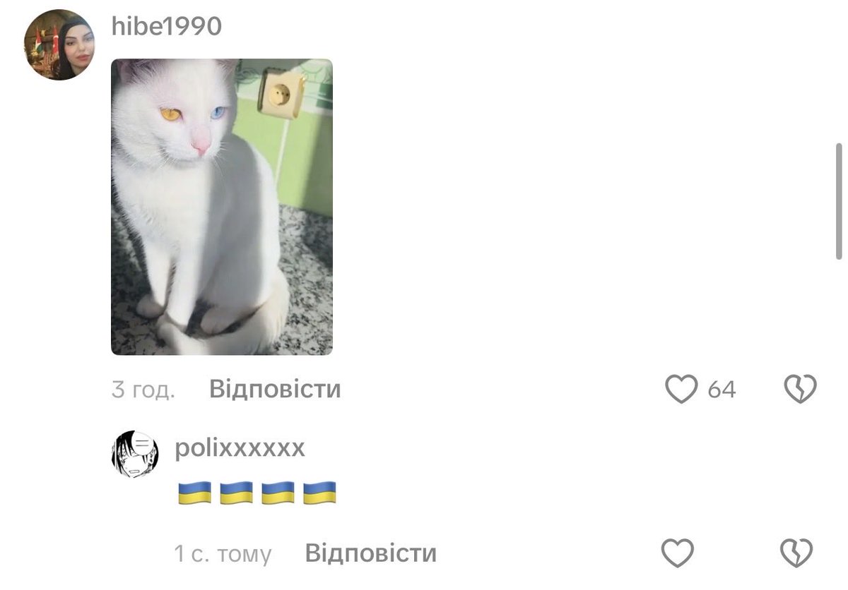 панно Поліно🌈🇺🇦 (@ebany_rot_blet) on Twitter photo 