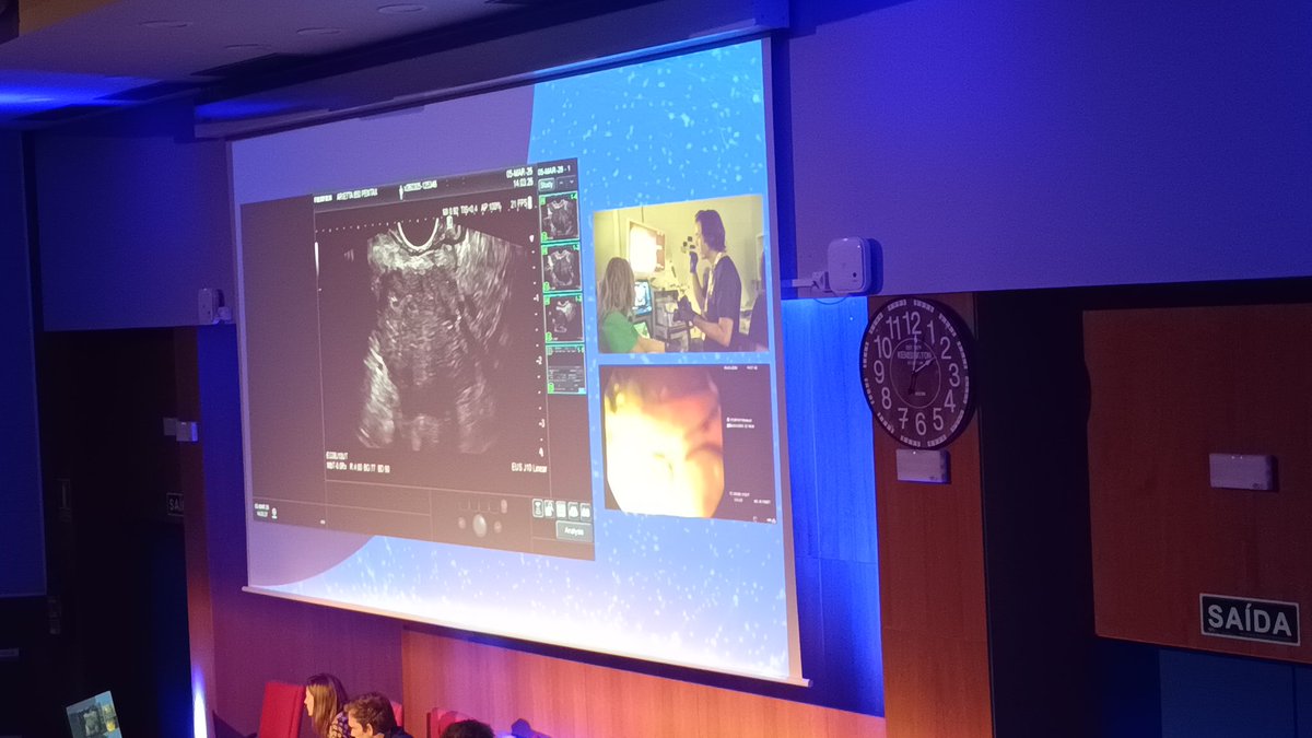 Gastro SANTIAGO tweet media