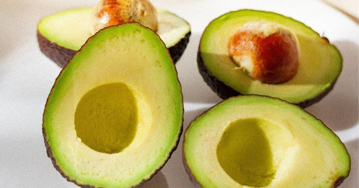 Allabor Channel tweet media