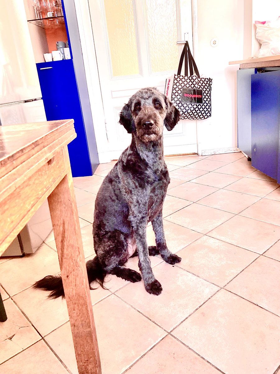 Hans Huett tweet media