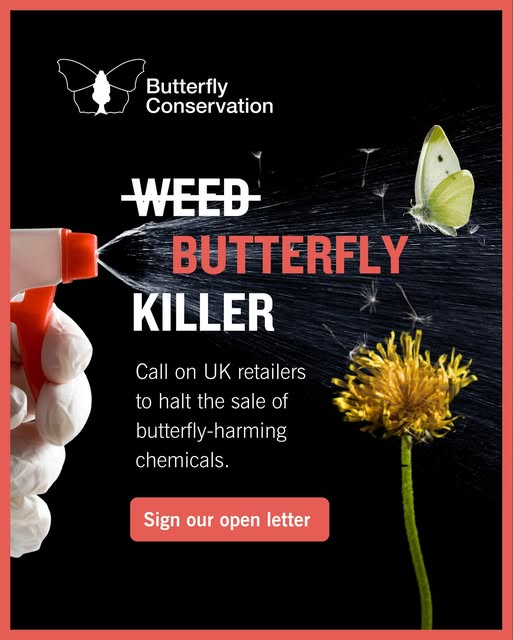 GO GREEN tweet media