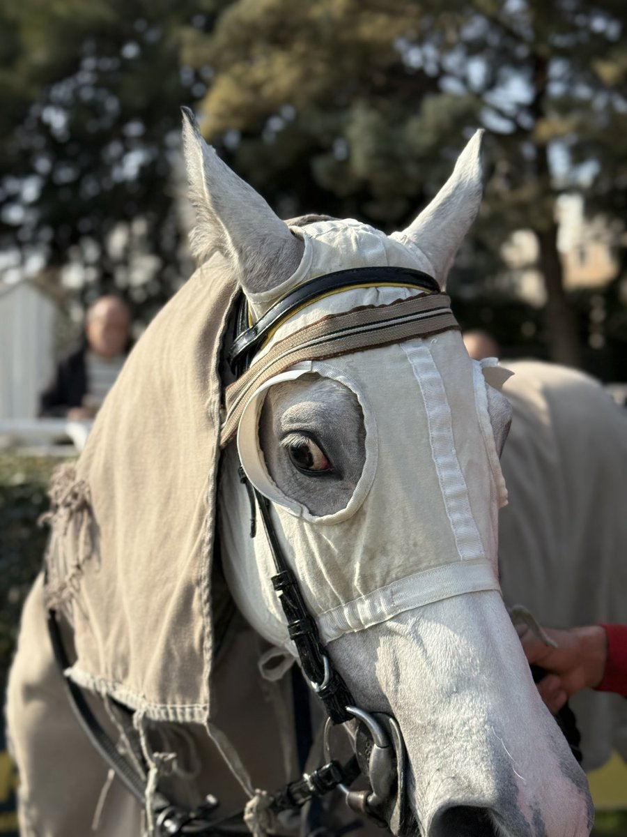 Emir Cihan Baydan tweet media