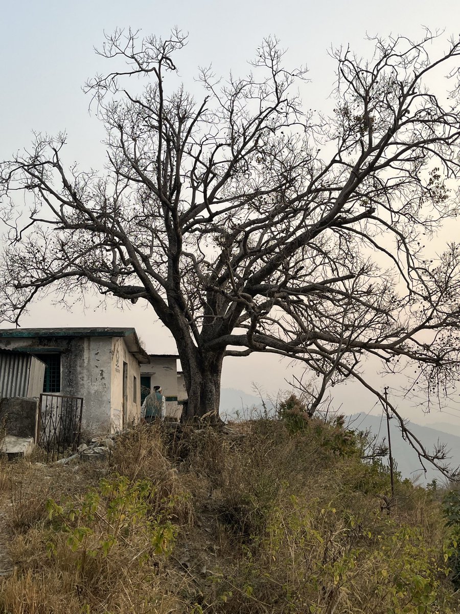 hrsanjaynegi's tweet photo. Govt School where dad studied till 05th standard at #Gwaad village #pauri Garhwal Uttarakhand #pahad dairies #Home https://t.co/kl9rsyl9uv
